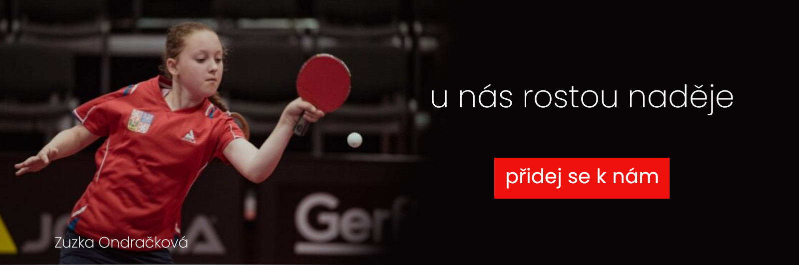 SK Frýdlant nad Ostravicí - stolní tenis